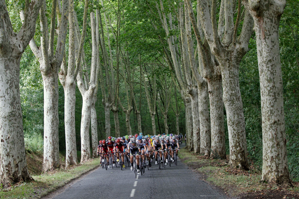 The pack rides during the 11th stage starting in Blaye les Mines and finishing in Lavaur on July 13, 2011. (Laurent Cipriani/AP) #