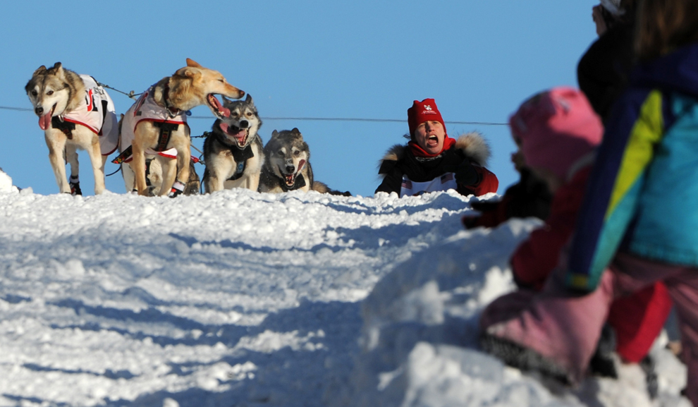 2014 Iditarod Trail Dog Sled Race | Photos | The Big Picture | Boston.com