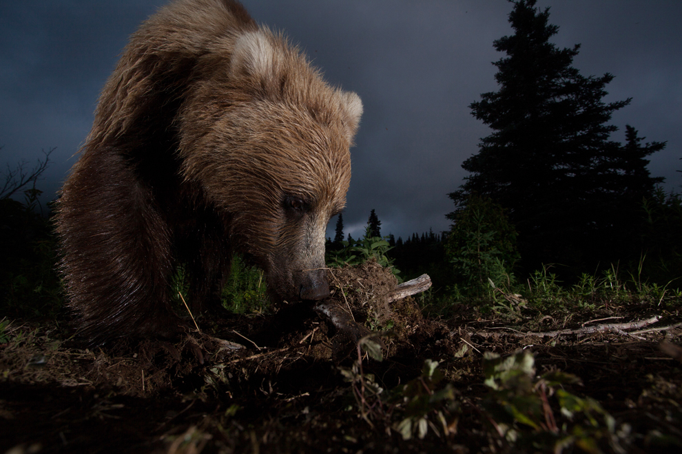 2012 National Geographic Photography Contest Winners | Photos | The Big