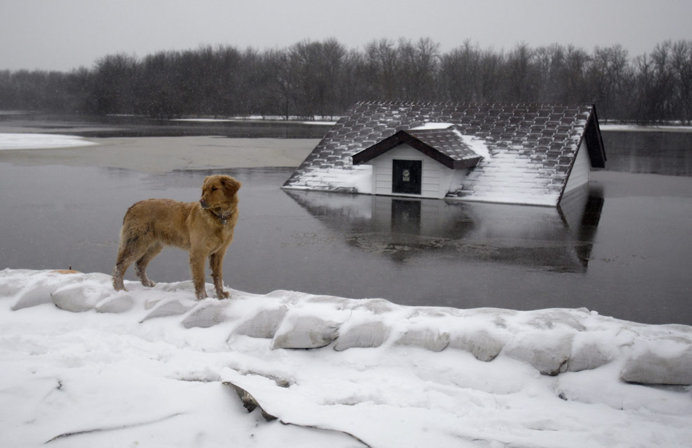 Фотография: Самое большое за последнее столетие наводнение в США №2 - BigPicture.ru