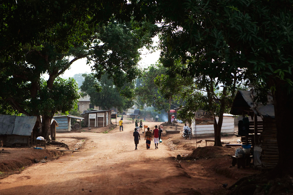 An Essay on the Sierra Leone Crisis